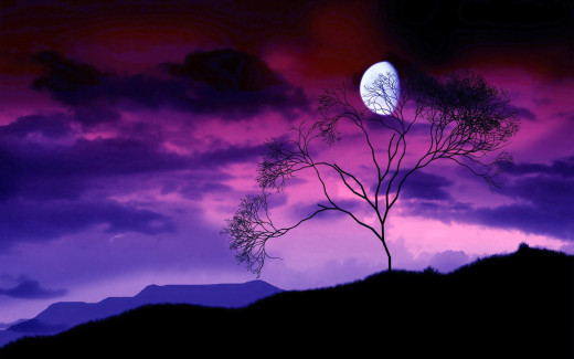 764831 (a): :2560x1600